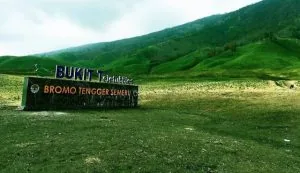 Bukit Teletubbies Bromo yang luas