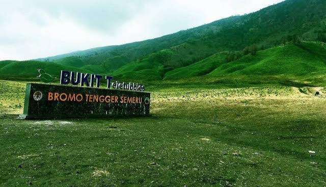 Pemandangan Bukit Teletubbies Savana Bromo