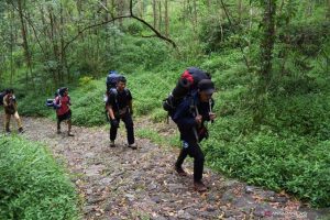 Pendaki pemula berjalan di jalur gunung yang hijau dan cerah