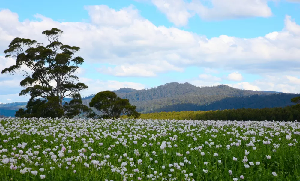 Pemandangan indah destinasi wisata Malang Batu saat pagi hari