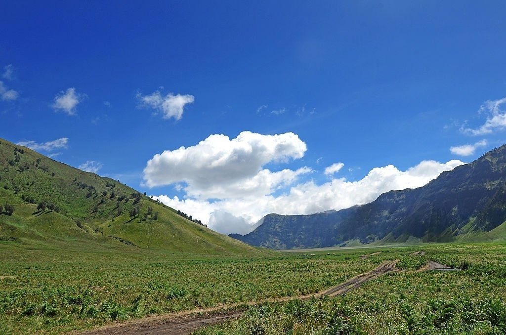Panorama hijau Bukit Teletubbies Bromo sebagai penutup trip wisata Bromo