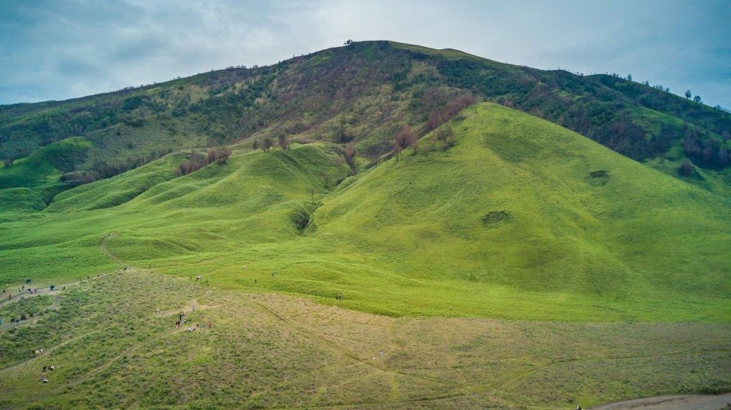 Savana dan Bukit Teletubbies Bromo untuk foto estetik