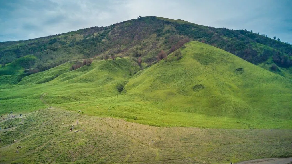 Spot foto Bukit Teletubbies Bromo dengan suasana santai dan perbukitan lembut