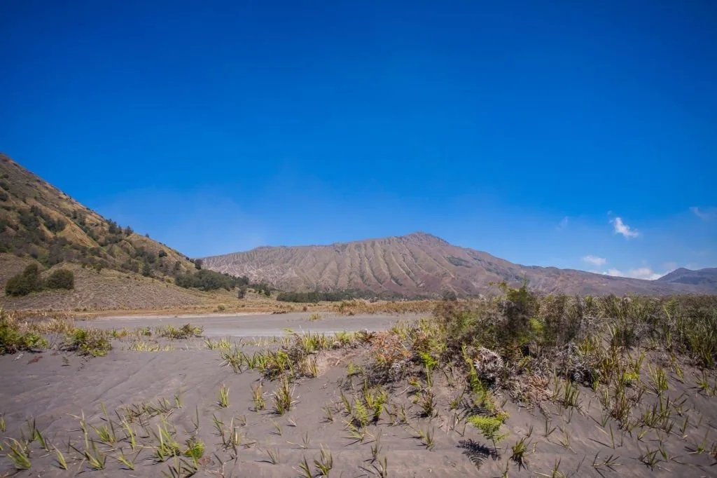Lautan pasir Gunung Bromo yang luas
