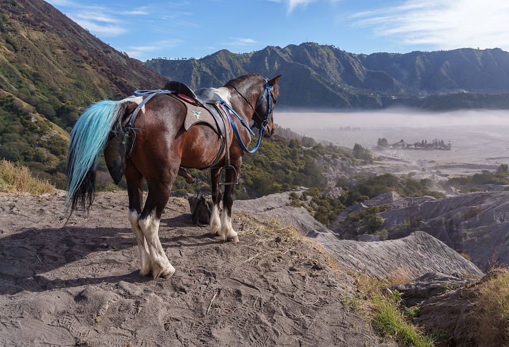 Panorama Lautan Pasir Bromo di kawasan TNBTS