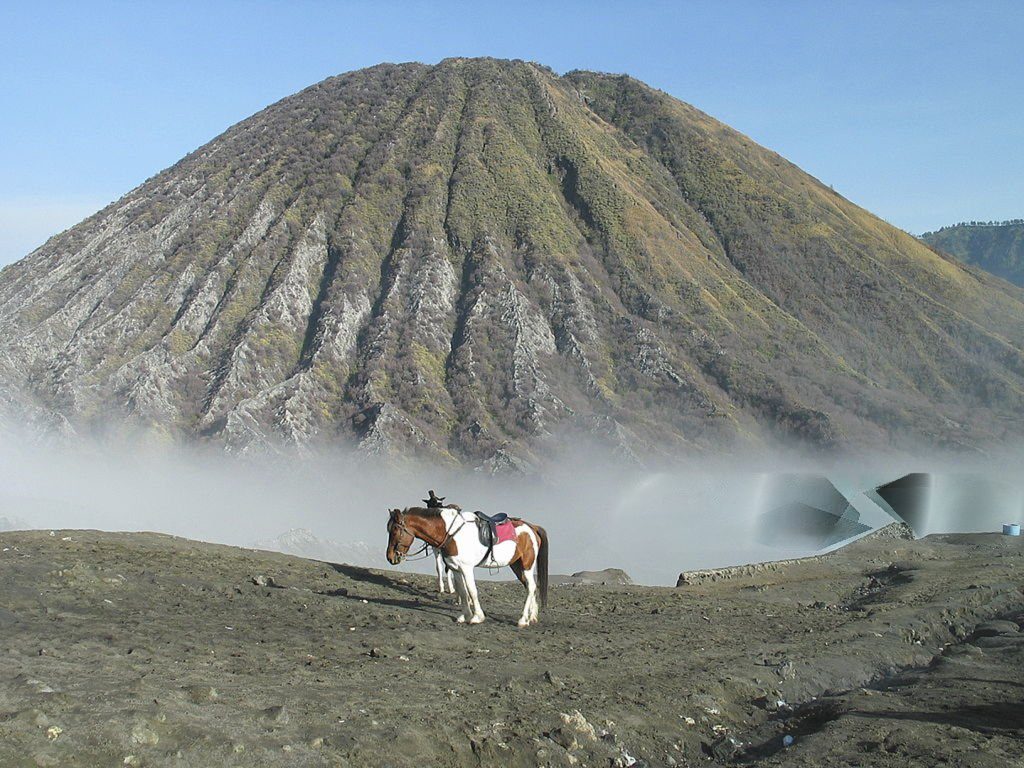 Tips nyaman menikmati Lautan Pasir Bromo dengan perlengkapan yang tepat