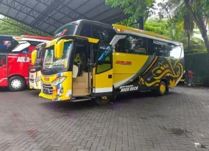 medium bus