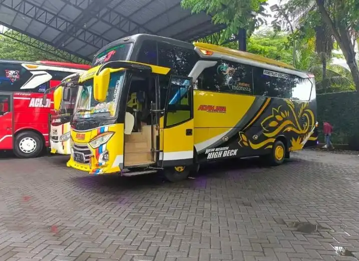 medium bus