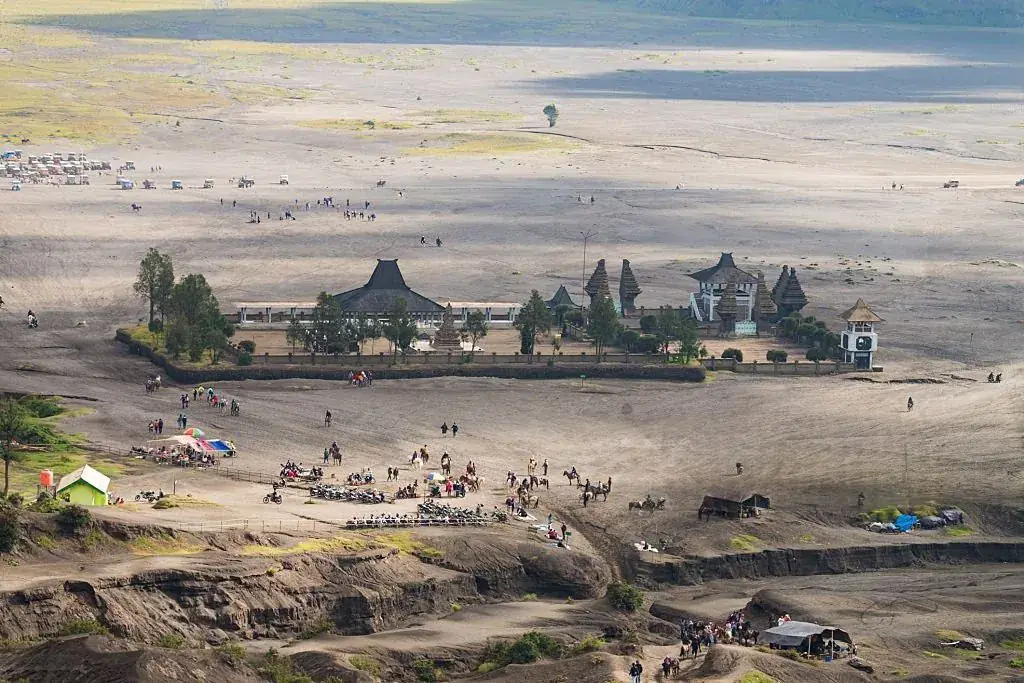 Hewan di Bromo: Dari Kuda sampai Elang Jawa Bernama Mirah